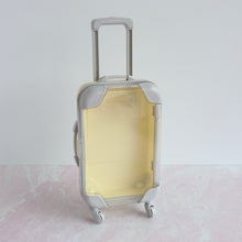 Suitcase ~ Luggage MINI gift holder