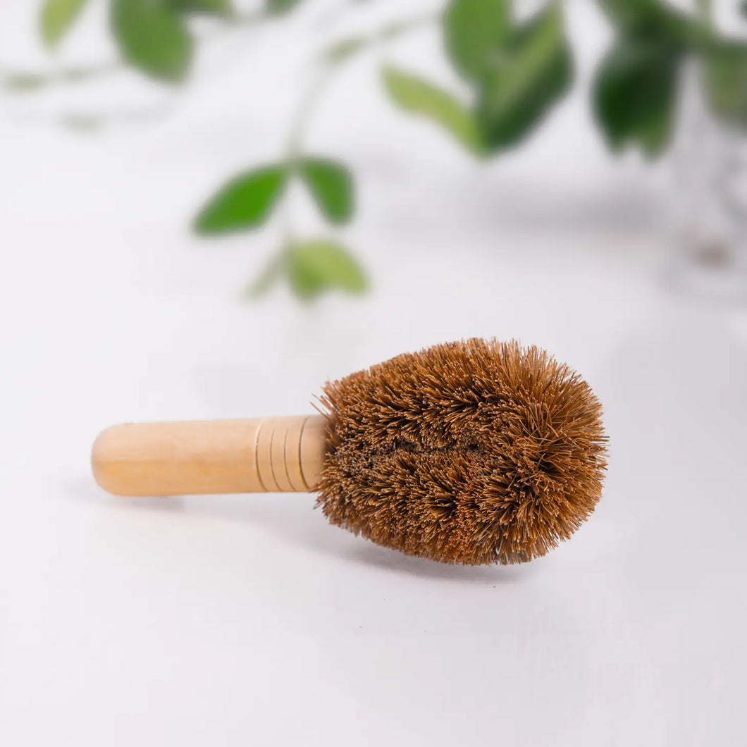 Brush ~ Mini scrub brush coconut natural