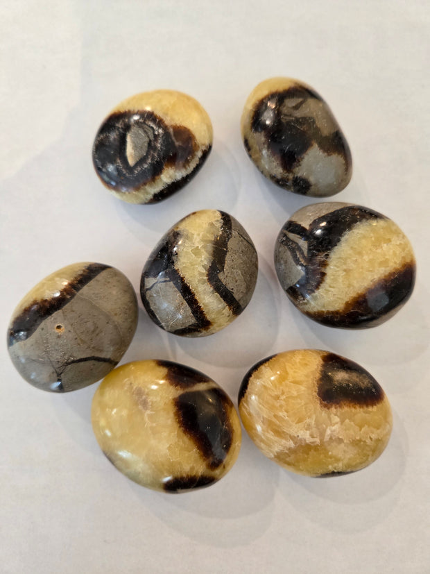 Septarian palm stone pocket stone