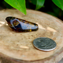 Crystal ~ Mexican Amber